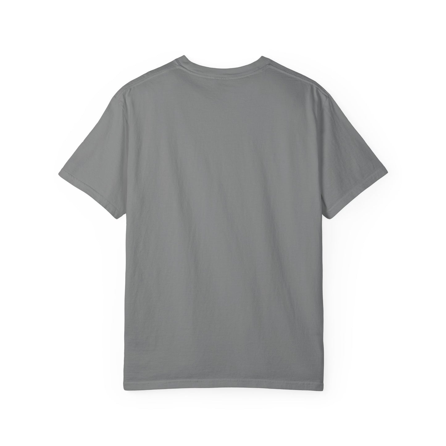 Pigeon T-Shirt