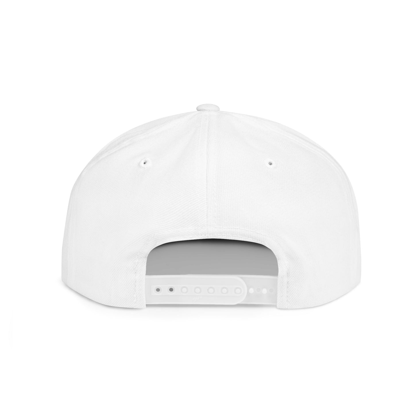 Shad Supply Co snapback hat